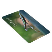 の祈マンティスありがとう マグネット (右側)