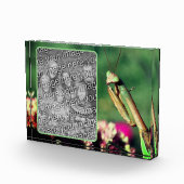 の祈マンティスが自分の個性を生み出す フォトブロック (右)