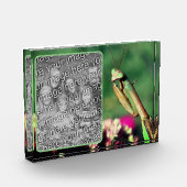 の祈マンティスが自分の個性を生み出す フォトブロック (左)