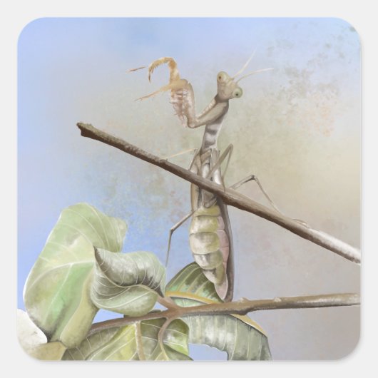 の祈マンティスの水色 スクエアシール (正面)
