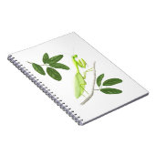 の祈マンティスノート ノートブック (右側)