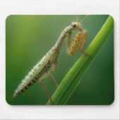 の祈マンティス接写 マウスパッド (正面)
