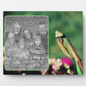 の祈Mantisが自分の写真を作成 フォトプラーク (正面)