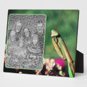 の祈Mantisが自分の写真を作成 フォトプラーク (側面)