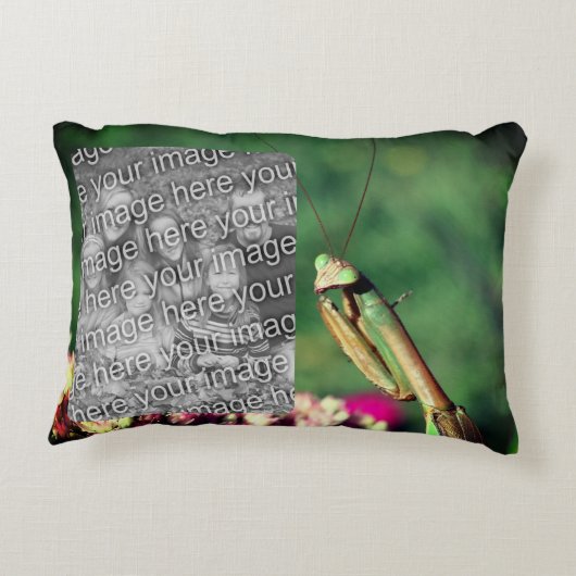 の祈Mantisフレーム独自の写真を作成 アクセントクッション (裏面)