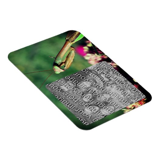 の祈Mantisフレーム独自の写真を作成 マグネット (右側)