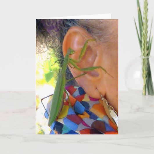 の祈Mantis共有の秘密 – カード (正面)