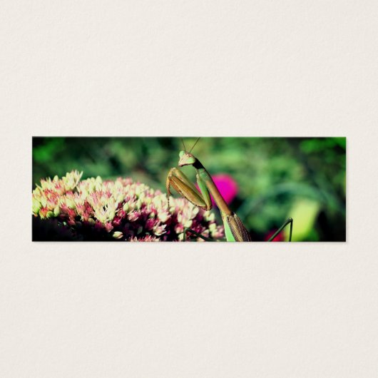 の祈Mantis自然ミニブックマーク (正面)