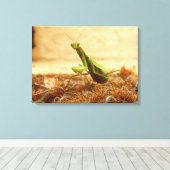 の祈Mantis Canvas Print キャンバスプリント (インサイチュ (ウッドフロア))