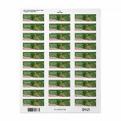 の祈Mantis Up Close自然アドレス ラベル (フルシート)