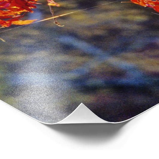 ～の秋に鮮やかな赤のバージニア州クリーパー フォトプリント            (角)