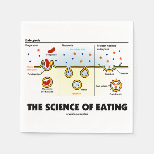 の科学(食べエンドサイトーシス生物学ユーモア) スタンダードカクテルナプキン (正面)