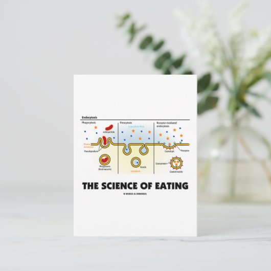 の科学(食べエンドサイトーシス生物学ユーモア) ポストカード (スタンド正面)