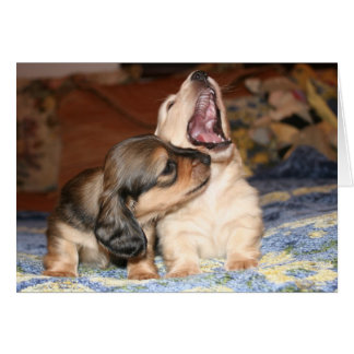 の笑い、愛生きている