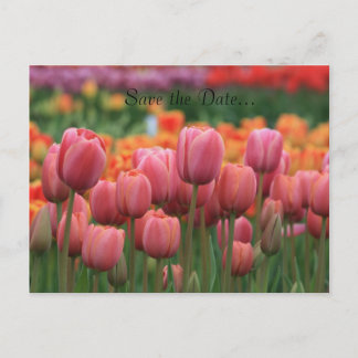 の結婚はがき、日付の保存… 案内ポストカード