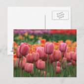 の結婚はがき、日付の保存… 案内ポストカード (正面/裏面)