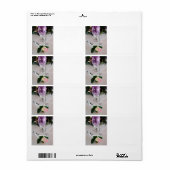 の結婚ガラス ラベル (フルシート)