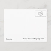 の結婚ケーキが日付を保存 案内ポストカード (裏面)