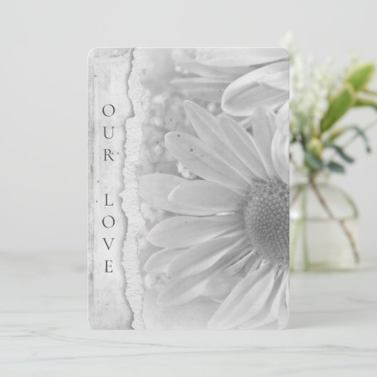 の結婚デイジーマクロ(エッジが引き裂かれた縁ど) 招待状 (スタンド正面)