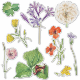の結婚歓迎サインカラフルワイルドフラワー シール