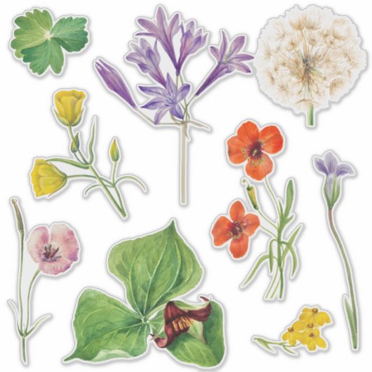 の結婚歓迎サインカラフルワイルドフラワー シール (正面)