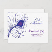 の結婚発表孔雀の羽 案内ポストカード (正面/裏面)