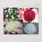 の結婚花屋の名刺はがき ポストカード (裏面)