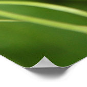 の結婚鐘花 ポスター (角)