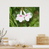 の結婚鐘花 ポスター (キッチン)