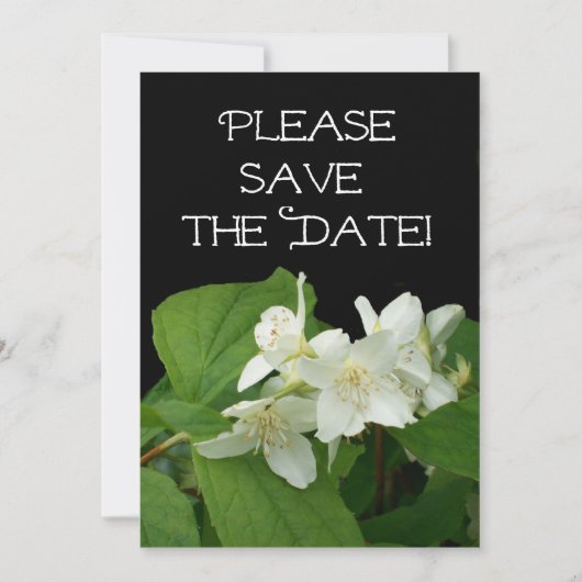 の'結婚Save the Date'カード 招待状 (正面)