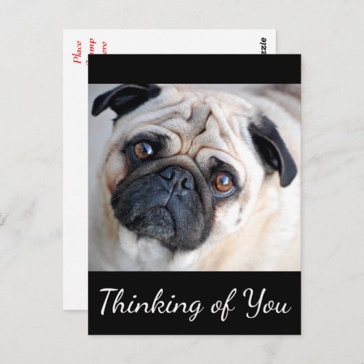 の考えあなたのパグ犬の黒はがき ポストカード (正面/裏面)
