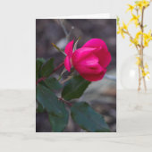 の考えあなたのピンクのローズ写真テンプレート カード (黄色い花)
