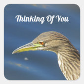 の考えるあなたの茶色の鳥の長距離友人 スクエアシール (正面)