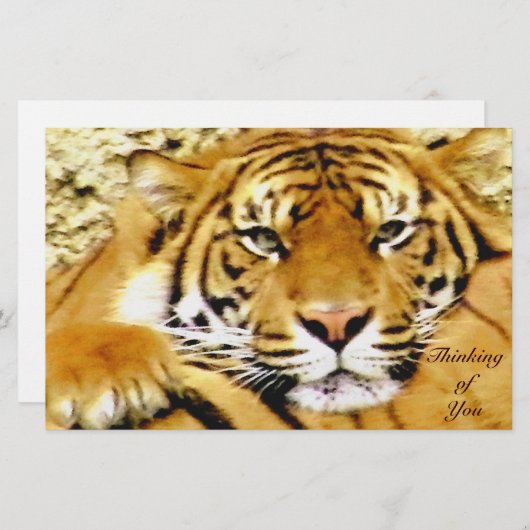 の考えるひな形 便箋 (正面/裏面)