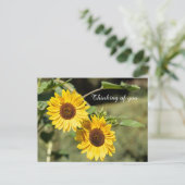 の考えるひまわり ポストカード (スタンド正面)