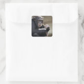 の考えるMonkeyingにつのまわりにいて スクエアシール (バッグ)
