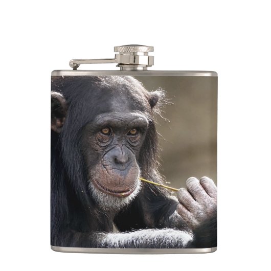 の考えるMonkeyingにつのまわりにいて フラスク (正面)