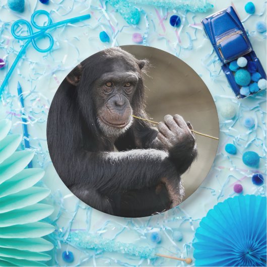 の考えるMonkeyingにつのまわりにいて ペーパープレート (パーティー)
