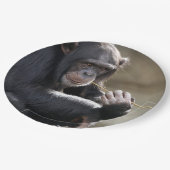 の考えるMonkeyingにつのまわりにいて ペーパープレート (アングル)