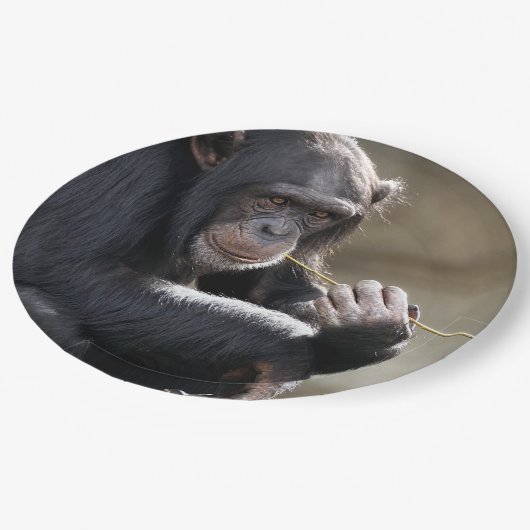 の考えるMonkeyingにつのまわりにいて ペーパープレート (アングル)