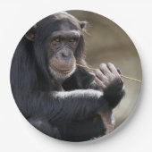 の考えるMonkeyingにつのまわりにいて ペーパープレート (正面)