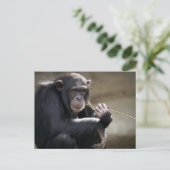 の考えるMonkeyingにつのまわりにいて ポストカード (スタンド正面)