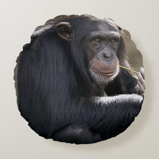 の考えるMonkeyingにつのまわりにいて ラウンドクッション (正面)
