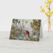 の考えるYou – ワックスマートルの北(鳥)ショウジョウコウカンチョウ カード (黄色い花)