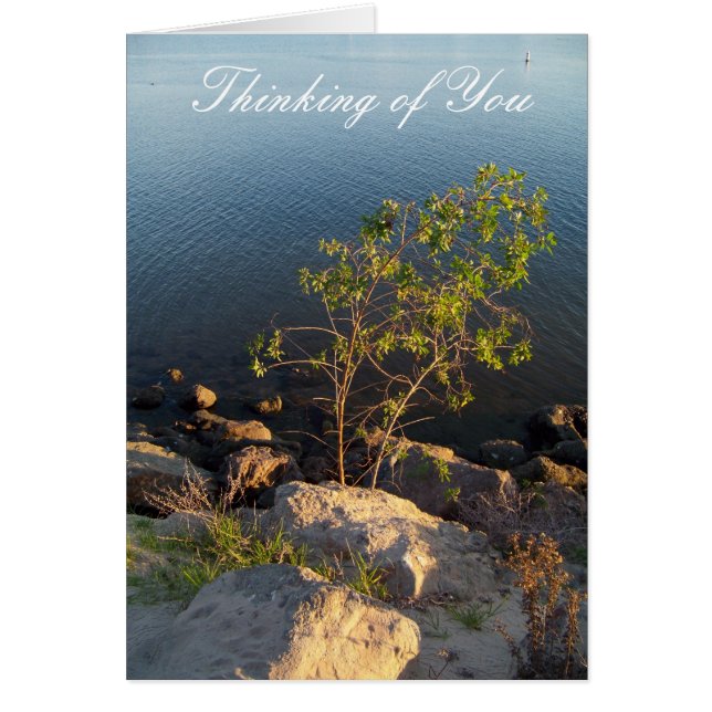 の考えるYou_Card (正面)