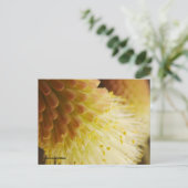 の考えるYou Radiant Toch Lily ポストカード (スタンド正面)