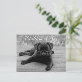 の考えパグ犬はがき ポストカード (スタンド正面)