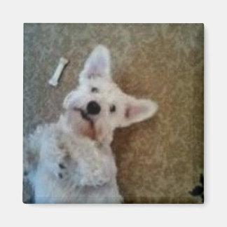 の考えマグネット マグネット