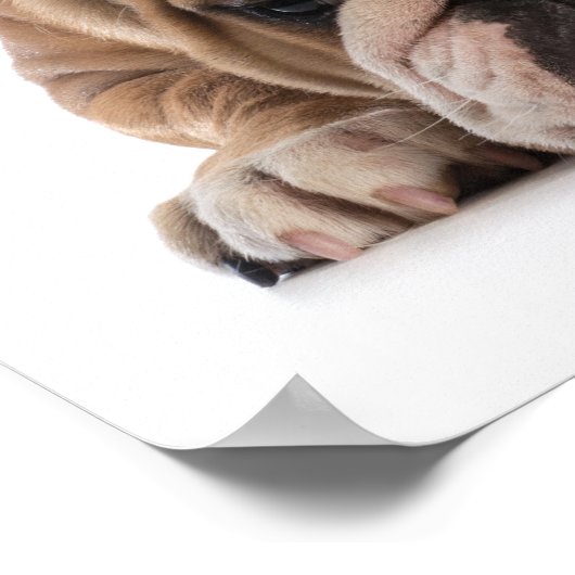 の考え帽子学校のユーモアのポスター ポスター (角)