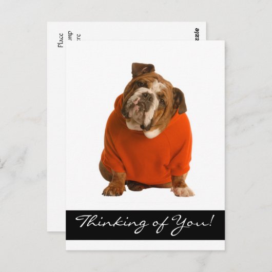 の考え英語ブルドッグ犬の子犬はがき ポストカード (正面/裏面)